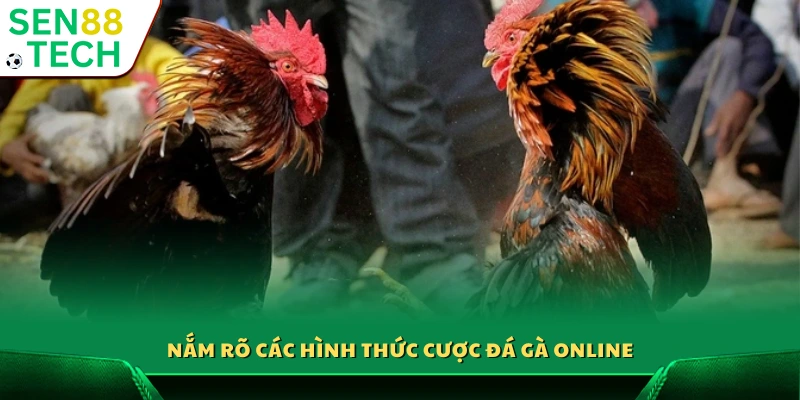 Tìm hiểu chi tiết các kiểu đặt cược