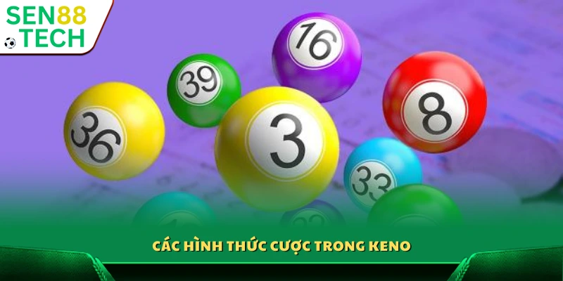 Xổ số Keno Sen88 – Luật chơi đơn giản cơ hội trúng thưởng cao 3 Những loại kèo cược có trong xổ số keno